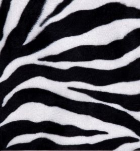 zebra 2 (2)